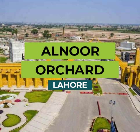 alnoor orchard